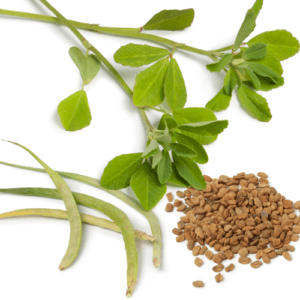 Raw fenugreek